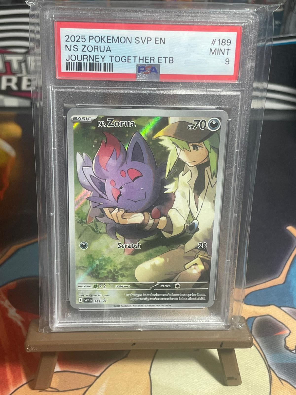 NS Zorua PSA 9